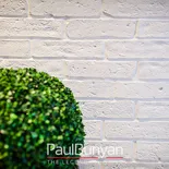 Płytki ceglane na ścianę PONIEMIECKIE – stare cegły rozbiórkowe Stare cegły na ścianę