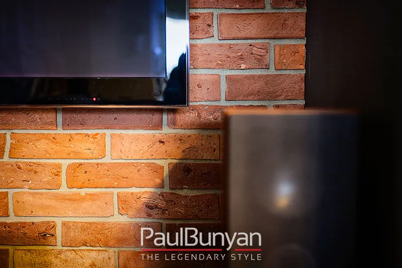 Płytki ceglane na ścianę PONIEMIECKIE – stare cegły rozbiórkowe Stare cegły na ścianę