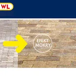 Impregnat do podłogi ze starej cegły ProtectGuard WL - 3