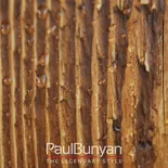 Blat drewniany ze starego drewna ręcznie rżniętego Blaty ze starego drewna